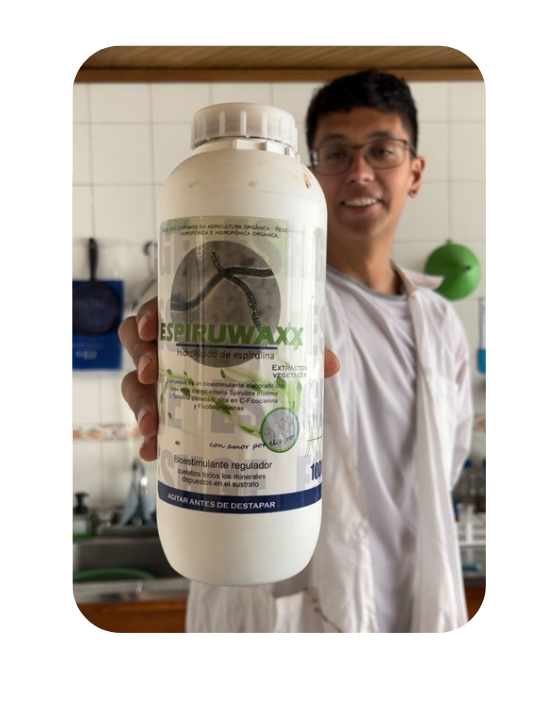 Spiruwaxx – Bioestimulante a partir de Spirulina – (Imagen de referencia)